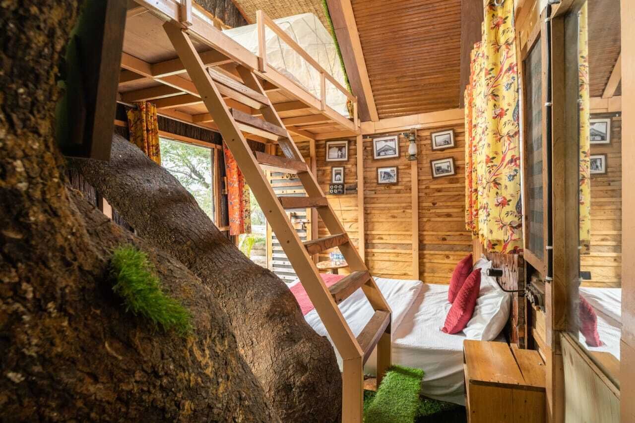 Interior de uma cabana de madeira com beliche, escada, janela com cortinas e quadros nas paredes.