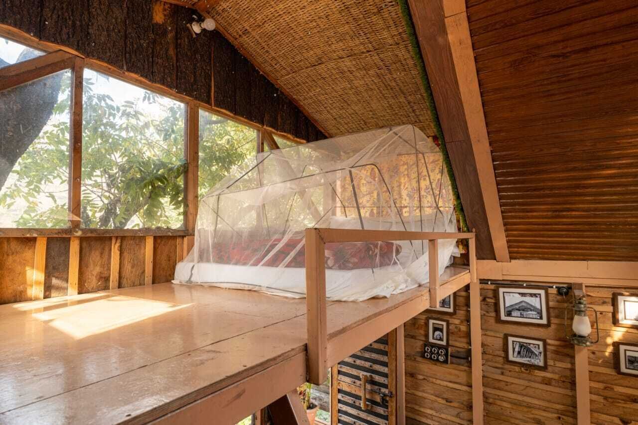 Tree House | Property grounds