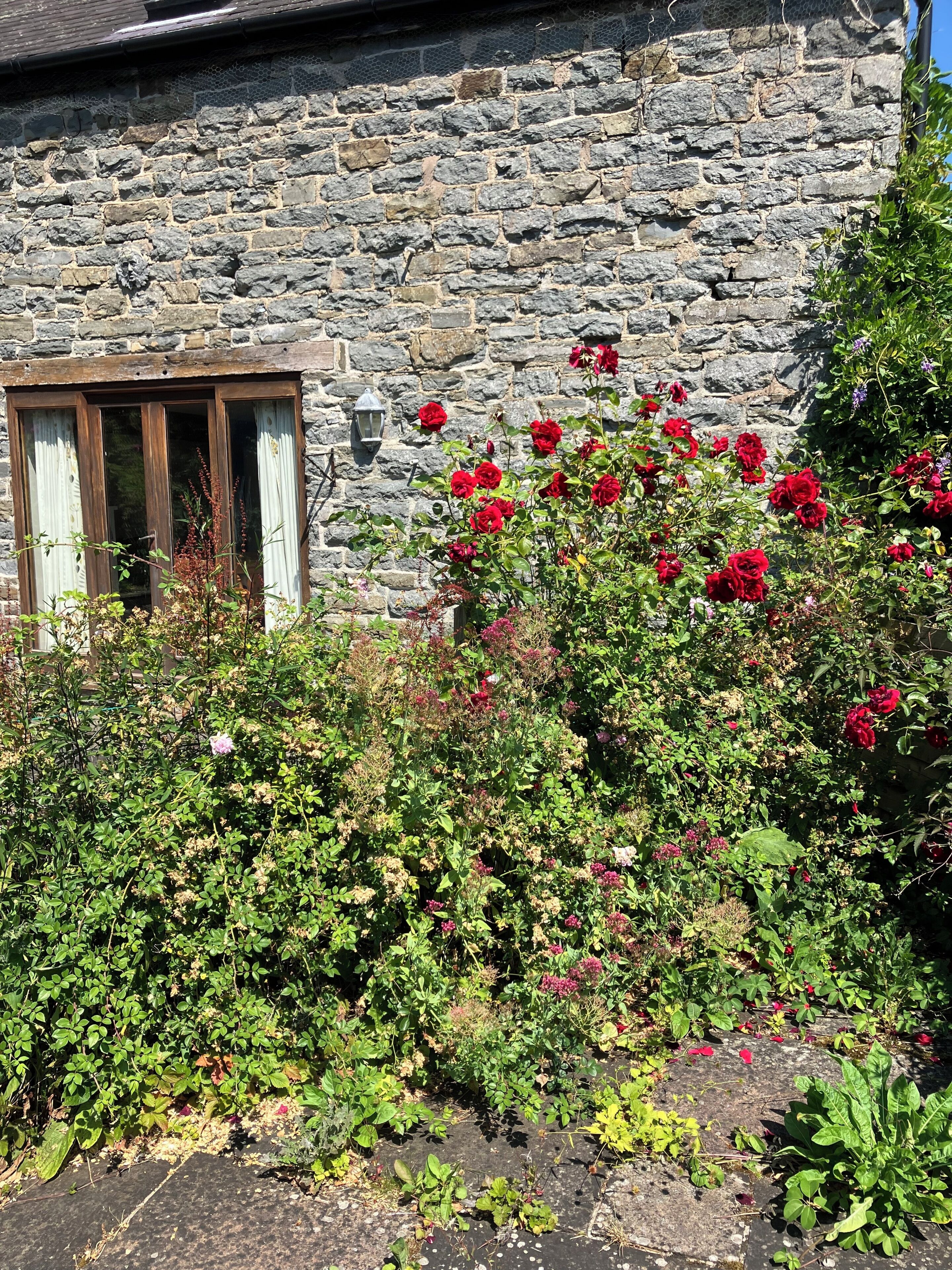 A stone building with a window, surrounded by dense greenery and red flowers.