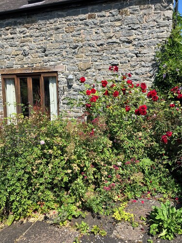 Rural retreat surrounded by nature in the beautiful Clun valley