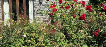 Rural retreat surrounded by nature in the beautiful Clun valley