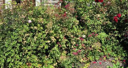 Rural retreat surrounded by nature in the beautiful Clun valley