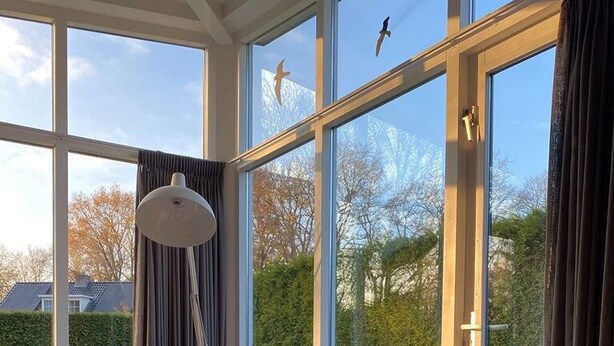 Un salon moderne avec un canapé, une petite table, une lampe et une plante en pot.