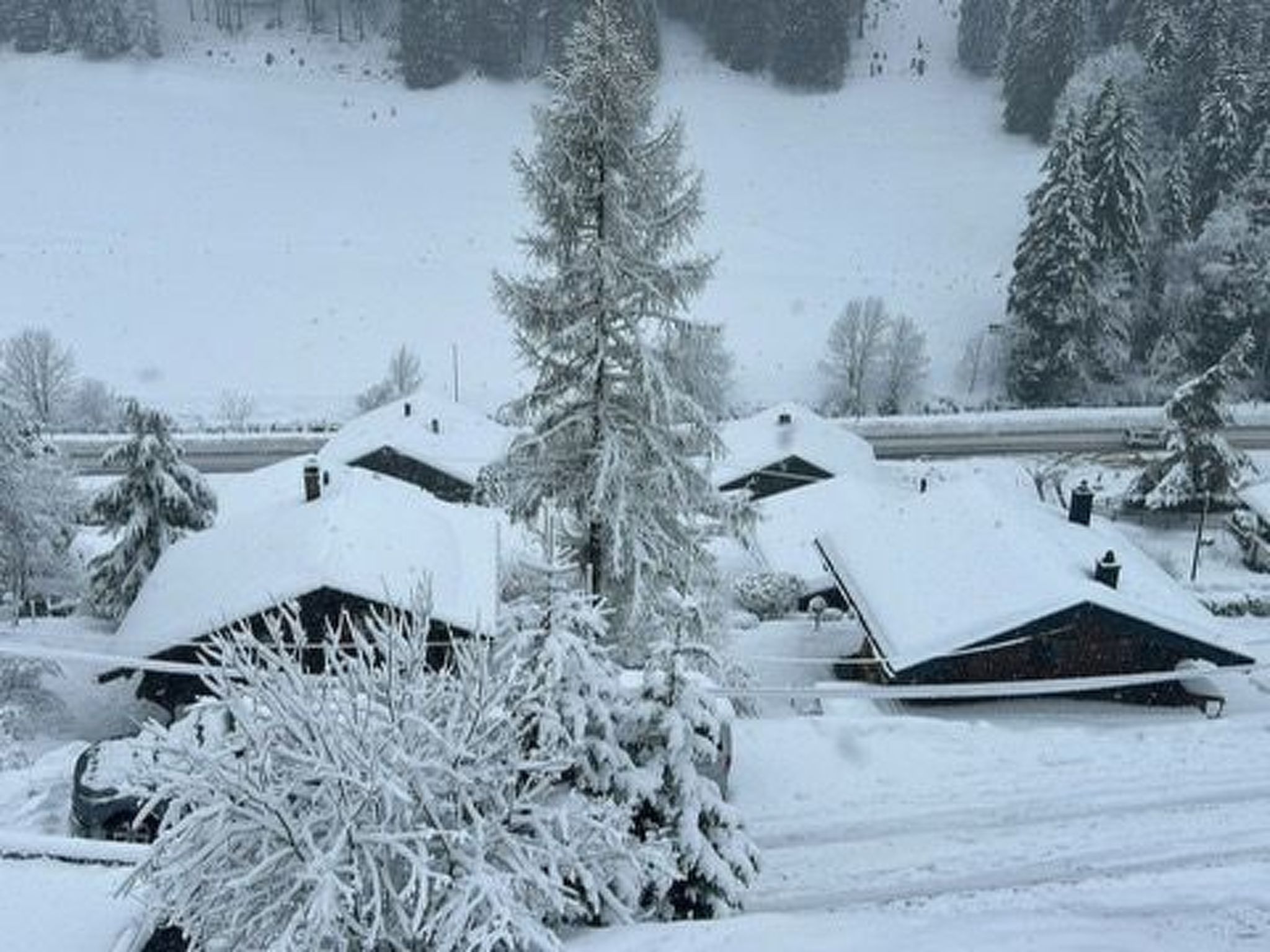 A snow-covered landscape with two cabins and a forest in the background.