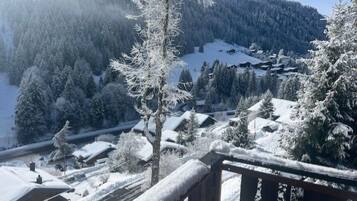 A snow-covered village with houses and a mountain backdrop.