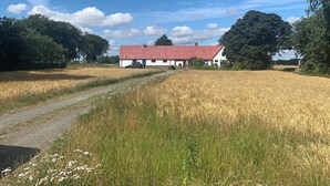 A rural landscape with a red-roofed building, a gravel path, and a field of crops.
