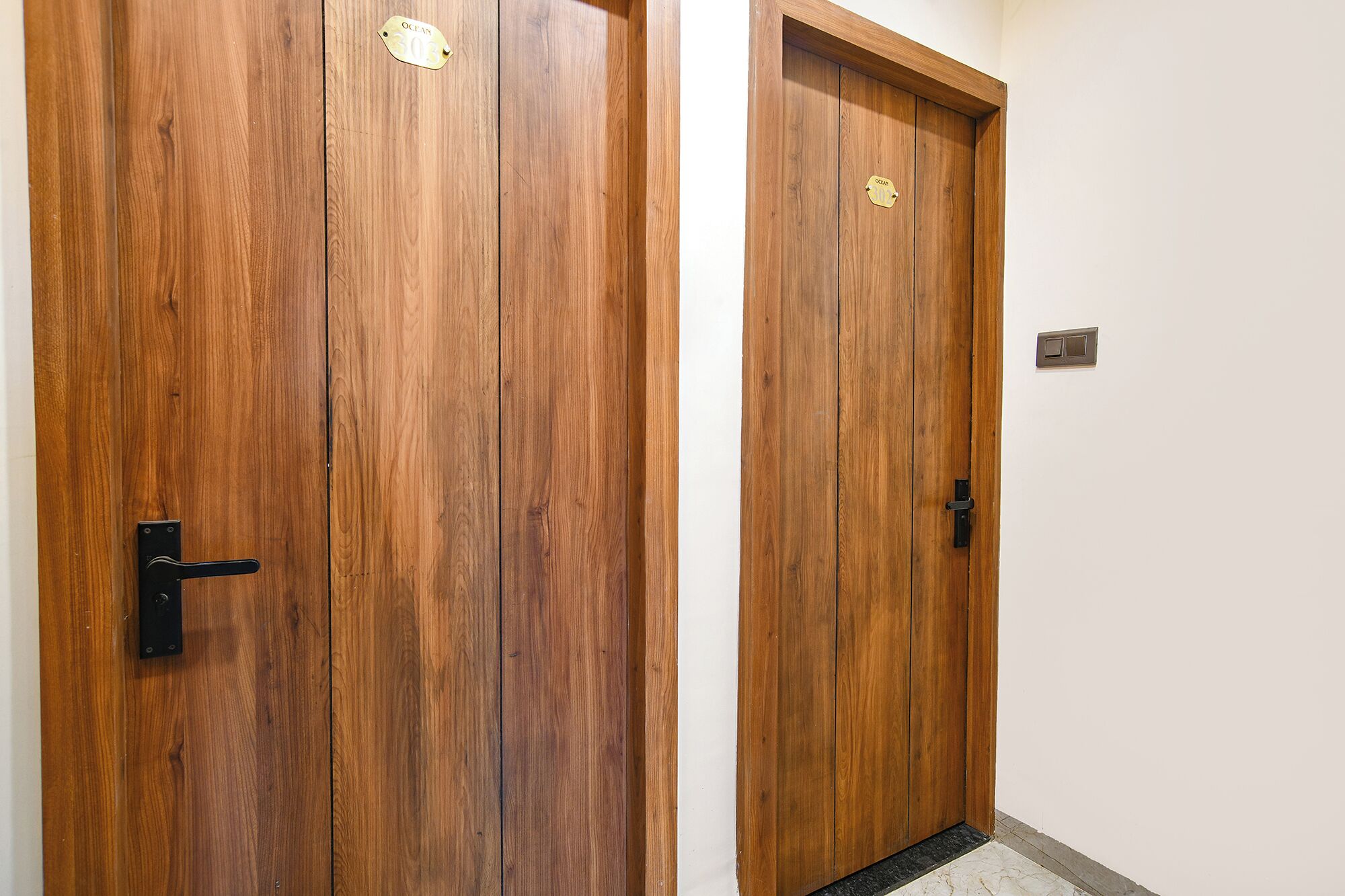 Dos puertas de madera con placas de latón, un pomo negro y un interruptor de luz en la pared.