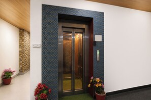 Elevator - Fabhotel Elite 45 (New Delhi)