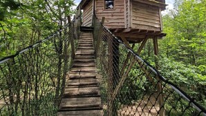 A wooden structure with a staircase leading to a platform, surrounded by a chain-link fence and dense foliage.