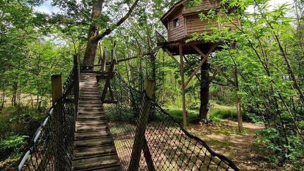 A wooden bridge leading to a treehouse in a forested area.