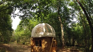 A wooden cabin with a dome roof, surrounded by trees in a forest setting.