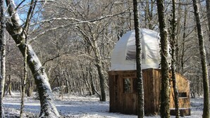 A wooden cabin with a snow-covered roof in a snowy forest.