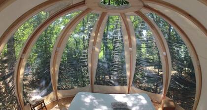 Bulle Perchée sous la canopée