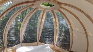 A dome-shaped room with a bed, a small table, and a view of trees through the transparent walls.