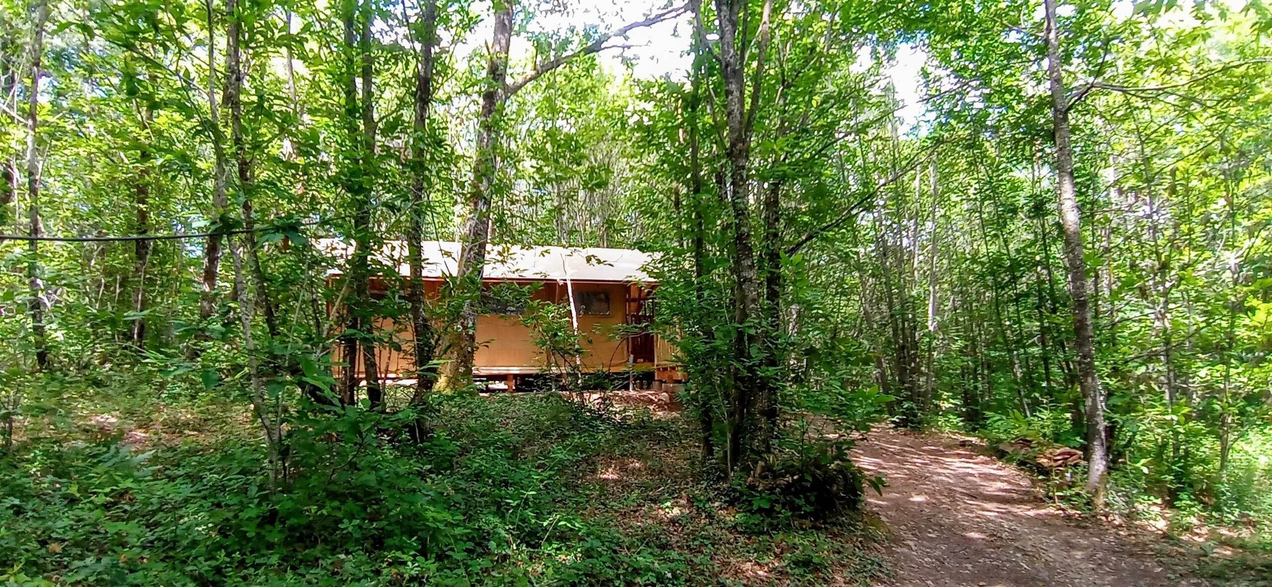 A cabin surrounded by dense forest, accessible by a dirt path.