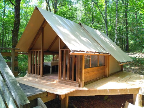 Bivouac Tent in the Woods