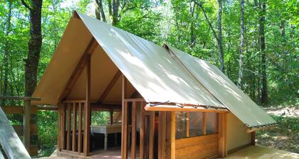 Bivouac Tent in the Woods