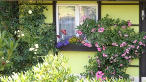 Un bâtiment doté d’une fenêtre, d’un balcon et agrémenté de diverses plantes et fleurs.