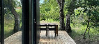 Modern architecture meets untamed nature