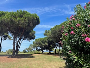 Terrain de l’hébergement 