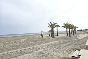 Ein Strand mit Palmen und einem Sandweg, der zum Wasser führt.