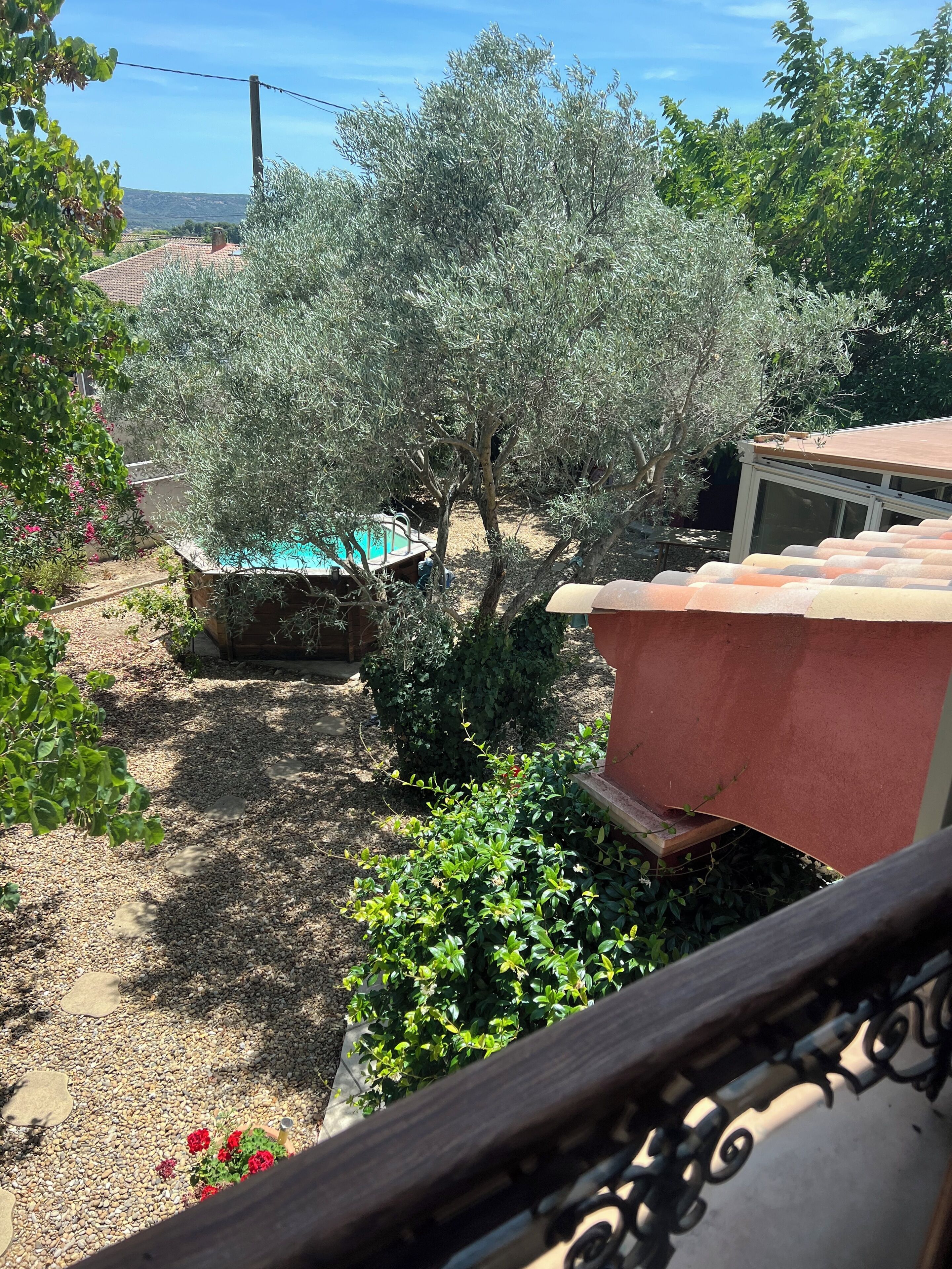 Un giardino con una piscina, un albero e un edificio.