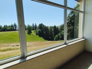 Ein Zimmer mit einem großen Fenster mit Blick auf eine Wiese und Bäume.