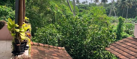 A tropical setting with a wooden roof, lush greenery, and palm trees in the background.