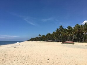 A beach with clear skies, palm trees, and a boat on the sand.