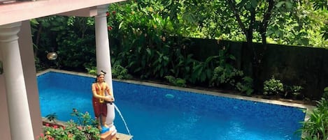 A swimming pool with a statue, surrounded by lush greenery and a decorative railing.