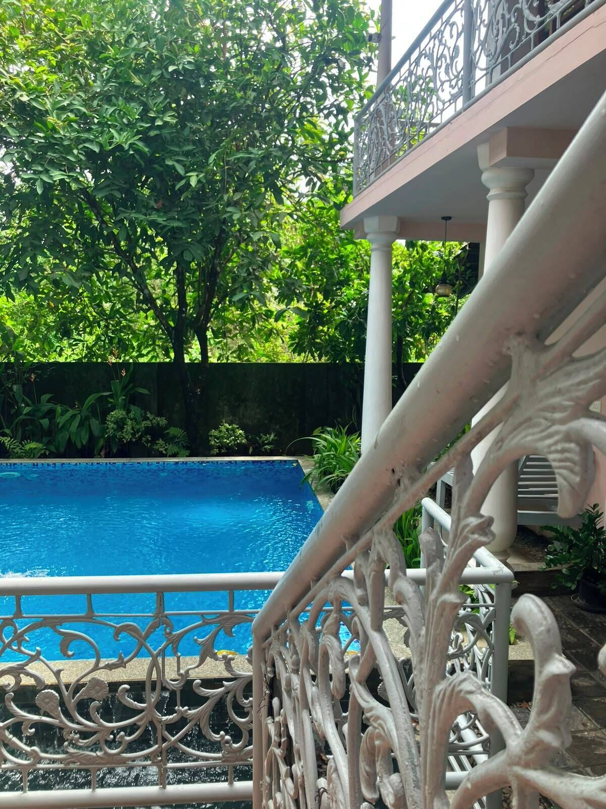 A swimming pool with ornate white railings and lush greenery in the background.
