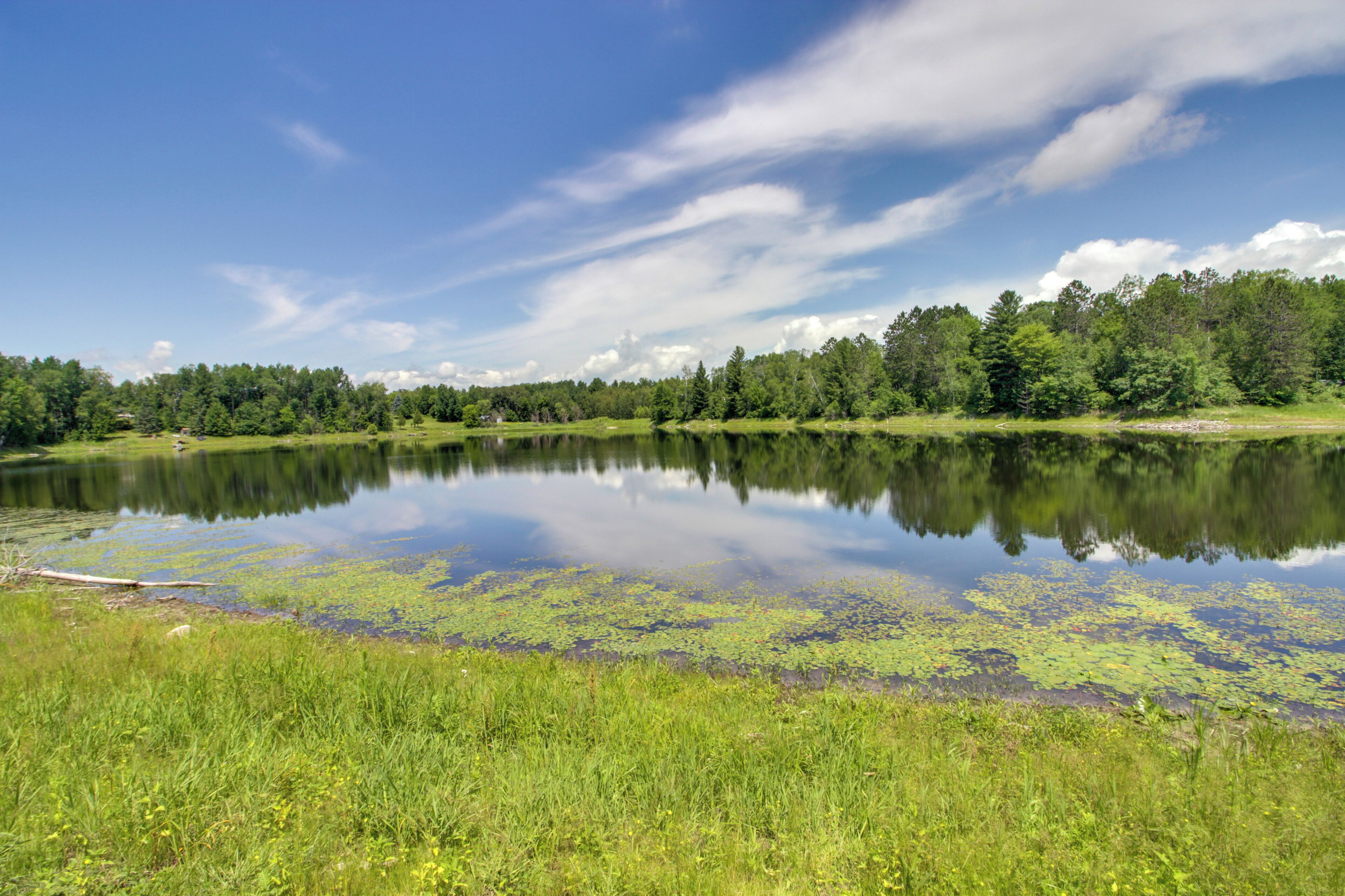 A calm lake surrounded by lush greenery and trees under a clear sky.