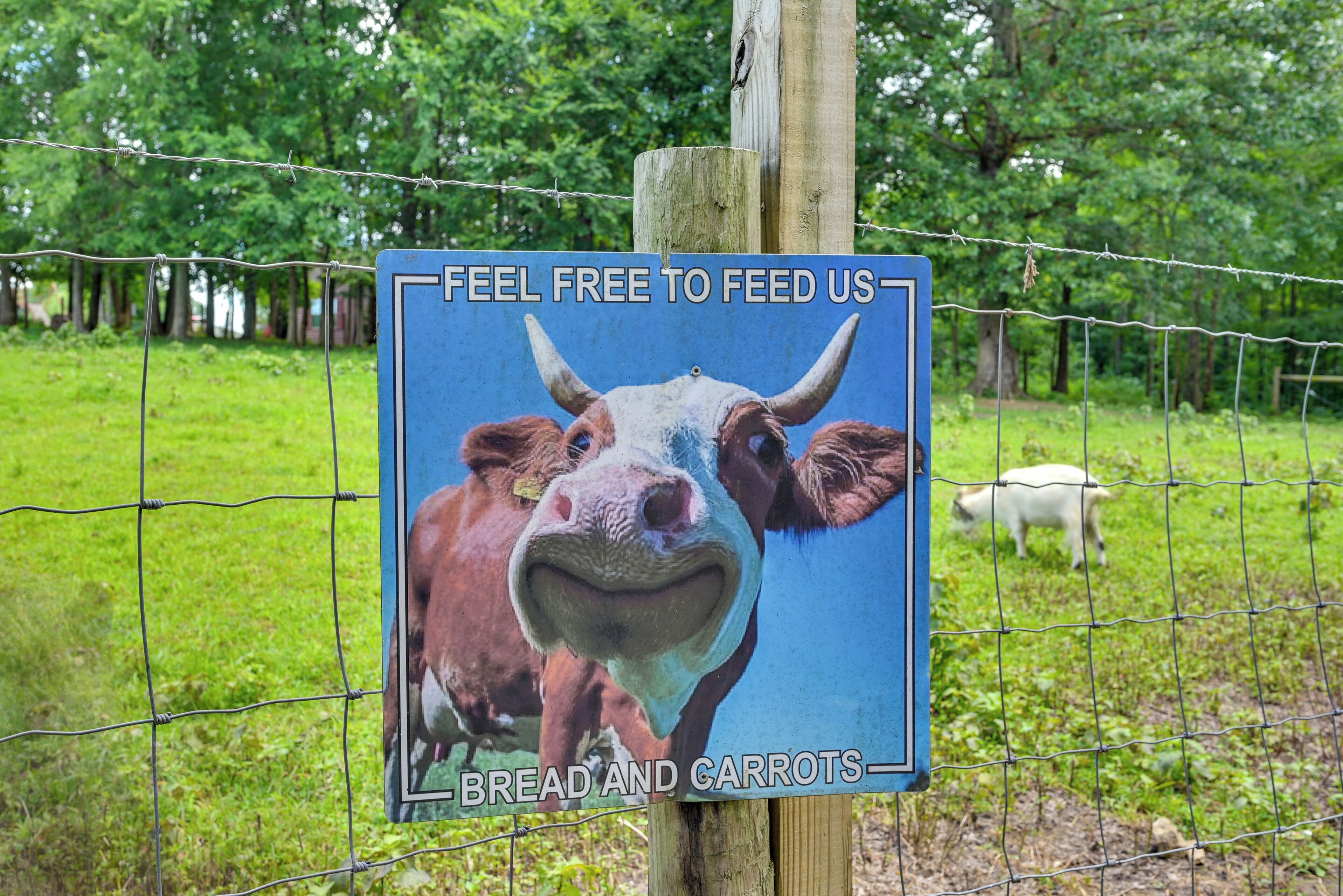 Un cartel con una vaca e invita a alimentarla con pan y zanahorias.