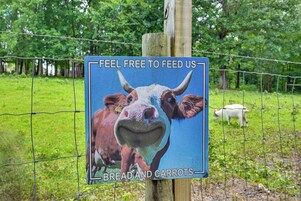 Un cartel con una vaca e invita a alimentarla con pan y zanahorias.