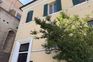 Detalle del exterior