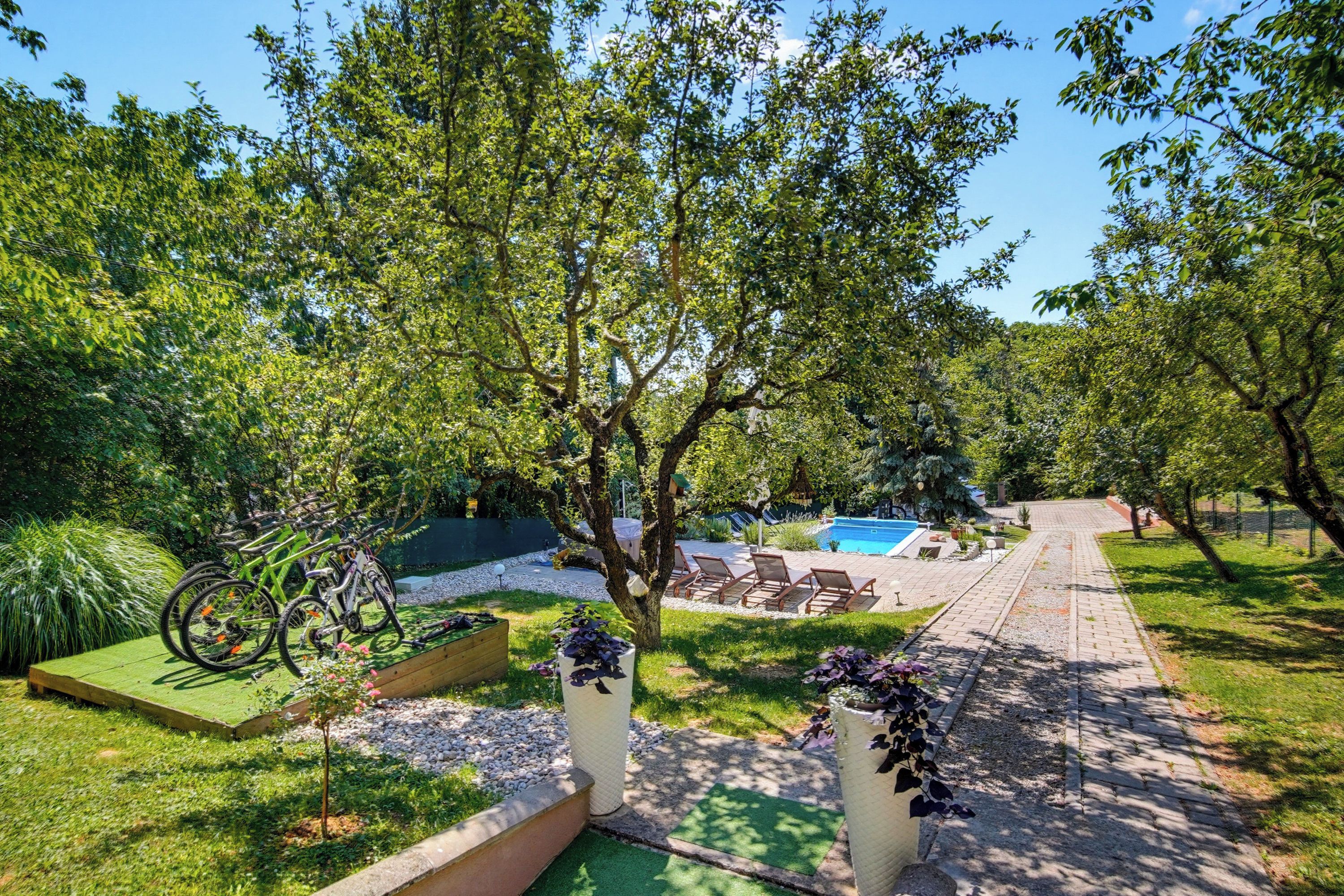 Garden