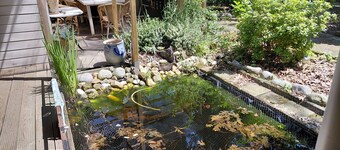 Charming 4-bedroom cottage in beautiful Baarle-Nassau with AC & Pipo wagen