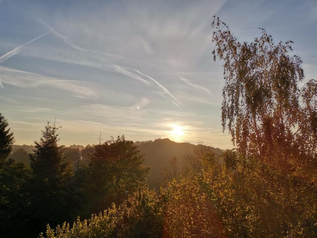 A landscape with a sun setting behind trees and hills.