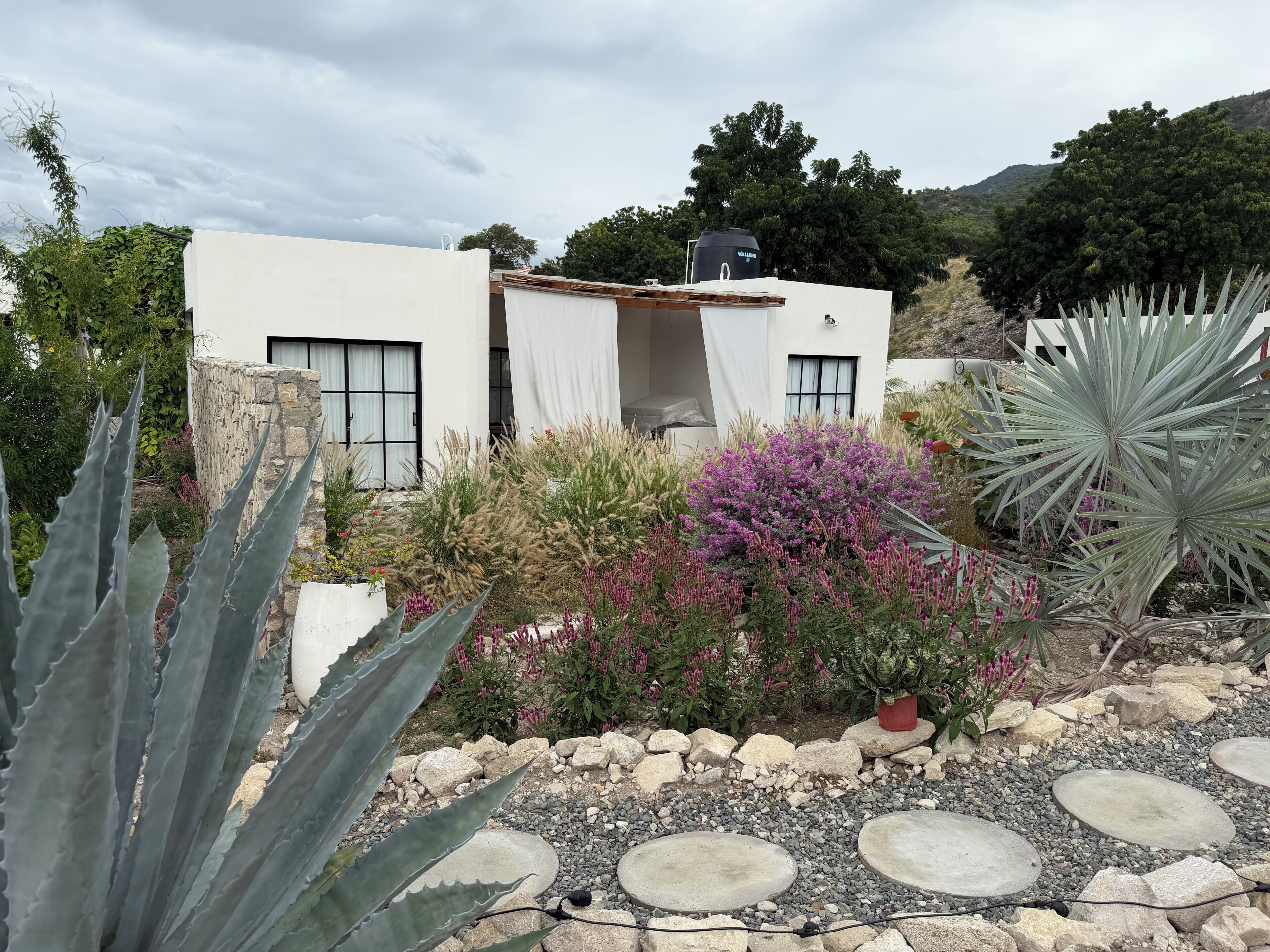 Un bâtiment moderne à l’extérieur blanc, entouré d’un jardin où poussent différentes espèces de plantes et agrémenté d’un sentier en pierre.