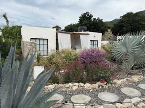 A modern building with a white exterior, surrounded by a garden with various plants and a stone pathway.