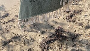 A beach scene with a woven blanket on a log.