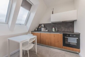 Private kitchen - Zizkov flat/skyline views/AC/Kitchen, new bathroom (Prague)