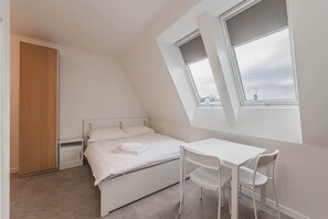 Room - Zizkov flat/skyline views/AC/Kitchen, new bathroom (Prague)