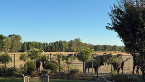 A fenced outdoor area with a grassy lawn, a few trees, and a row of chairs. - Luxurious comfort & cosy, your home away from home! Romantic getaway… (Moyhu)