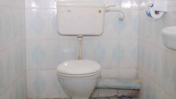 Single Room, Housekeeping, Lake View | Bathroom | Shower, free toiletries, slippers, towels