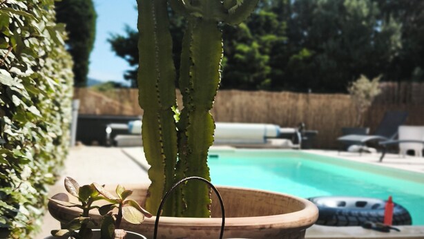Uma mesa de madeira com plantas em vasos, um candeeiro de metal e vista para uma piscina e espreguiçadeiras.