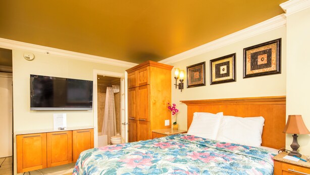 Quarto de hotel com cama, televisão, armários de madeira e uma luminária fixada na parede.