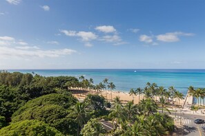 Ein Strand mit Palmen, einer Straße und einem strahlend blauen Himmel.