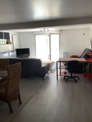 A living room with a sofa, a television, a dining table, and a kitchen area. - On the garden level of a contemporary house, a large 50 m2 studio is available for rent, (Gournay-sur-Marne)