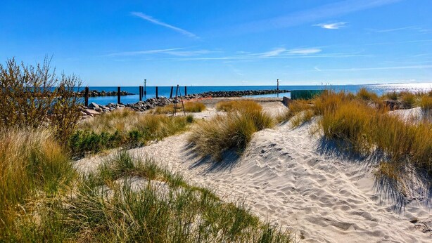 Ein Strand mit Dünen, blauem Himmel und ruhiger See.